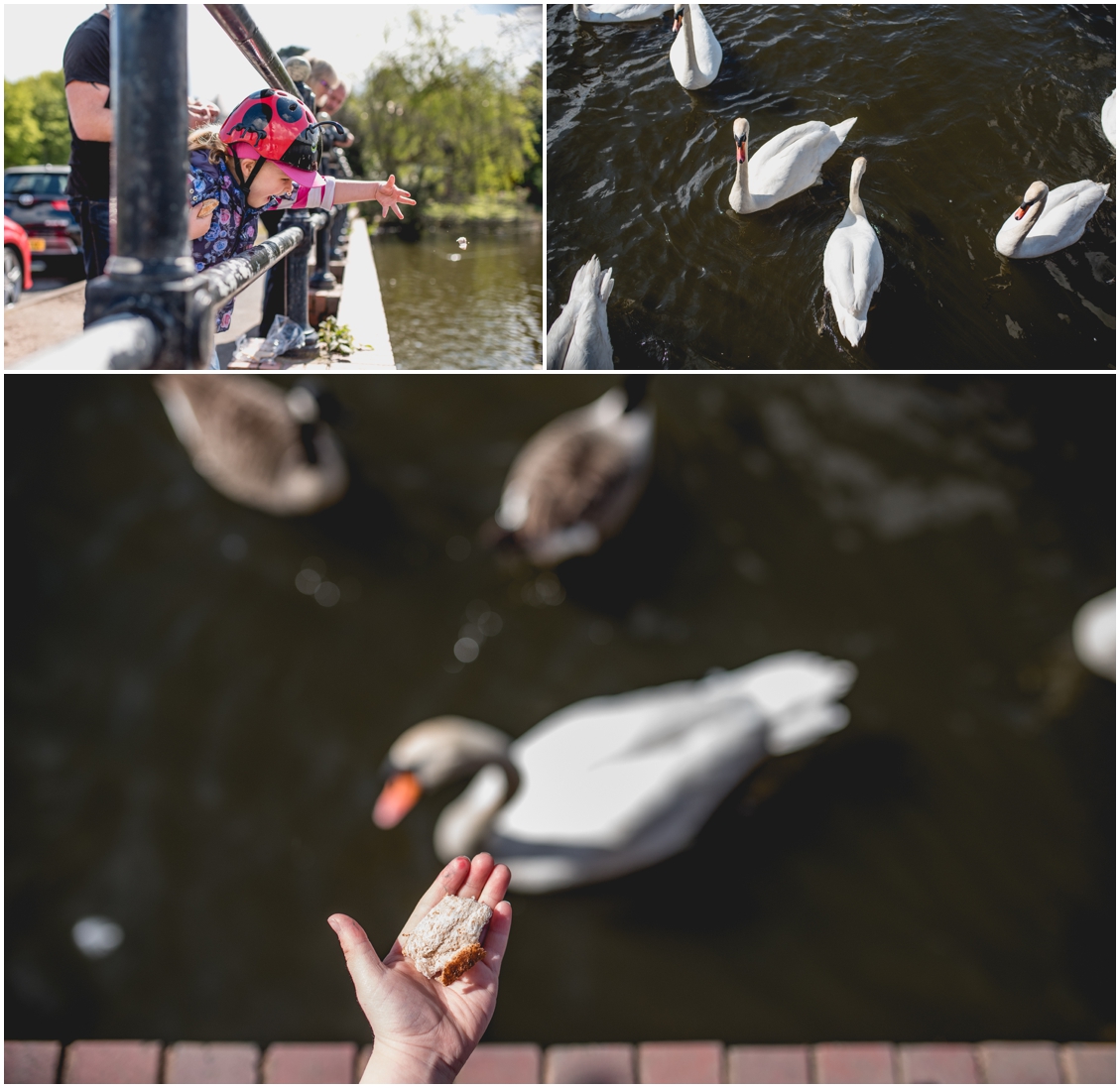 Nikon D750, Sigma 1.4 ART, personal post, Sutton Park, Frankie, bike riding, message in a bottle, West Midlands Wedding Photographer