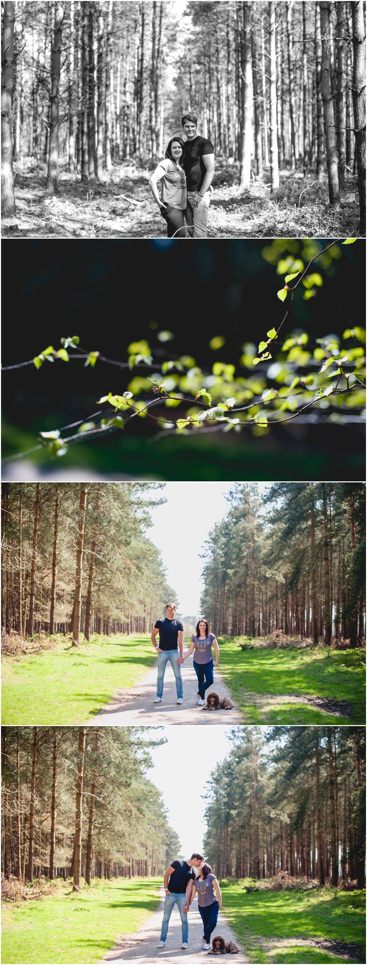 Charlotte and Gareth, Cannock Chase Engagement Shoot, Wedding Photography, Lisa Carpenter Photography, West Midlands