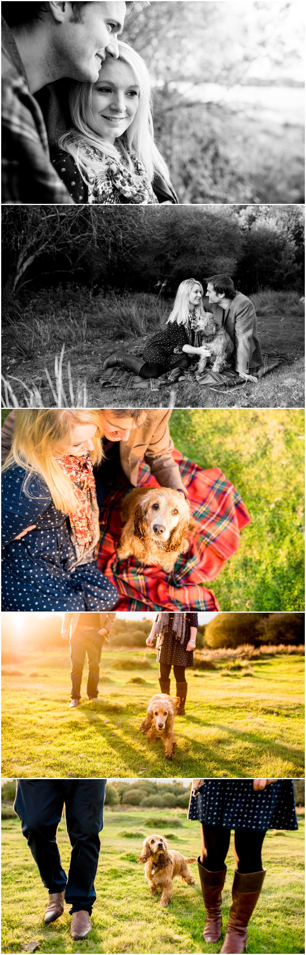 Amy and Tom's Engagement shoot in Sutton Park, Sutton Coldfield, at Golden hour with photos by Lisa Carpenter Photography, West Midlands photographer specialising in weddings, celebrities and family portraits