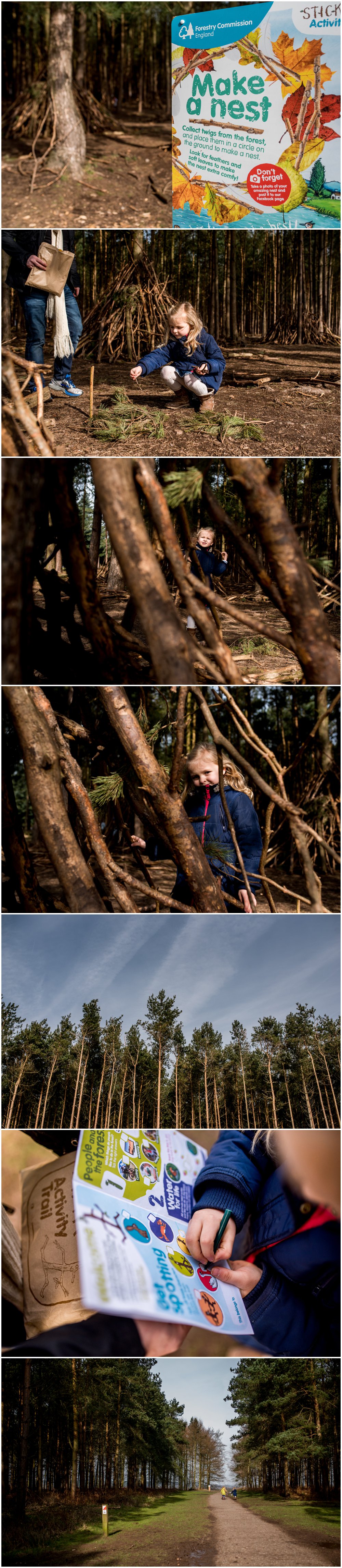 The Stick Man, Stick Man trail, Cannock Chase, Birches Valley, Forestry Commission, days out with kids, walking in the forest, personal post,family life