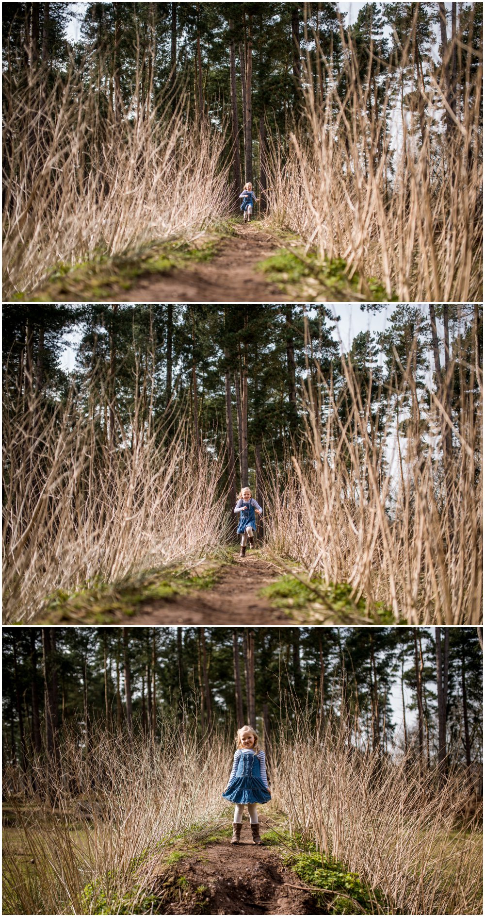 The Stick Man, Stick Man trail, Cannock Chase, Birches Valley, Forestry Commission, days out with kids, walking in the forest, personal post,family life