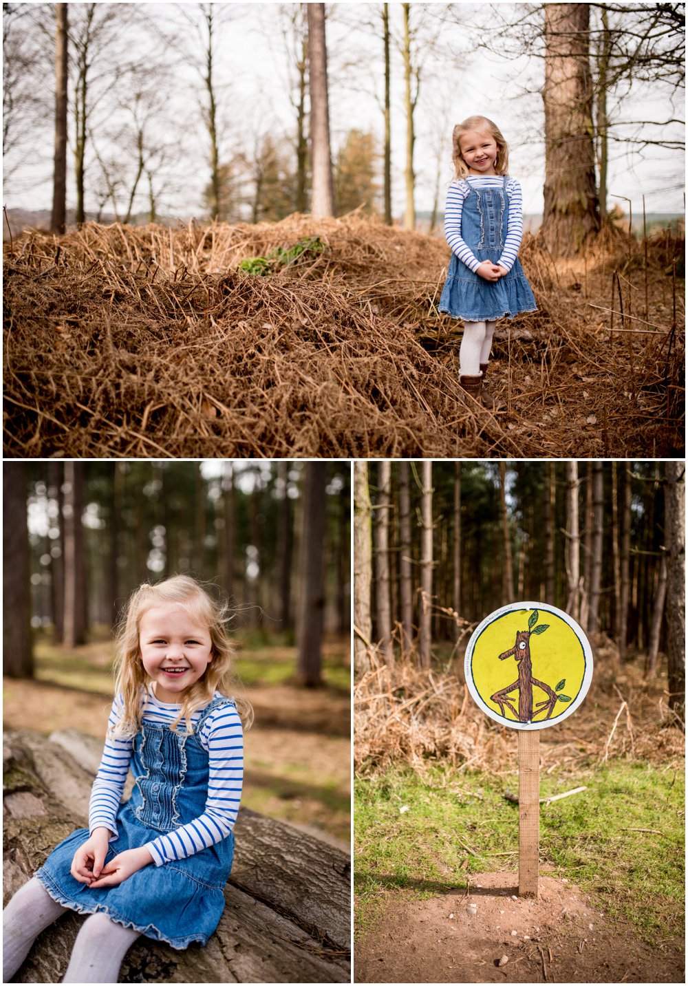 The Stick Man, Stick Man trail, Cannock Chase, Birches Valley, Forestry Commission, days out with kids, walking in the forest, personal post,family life