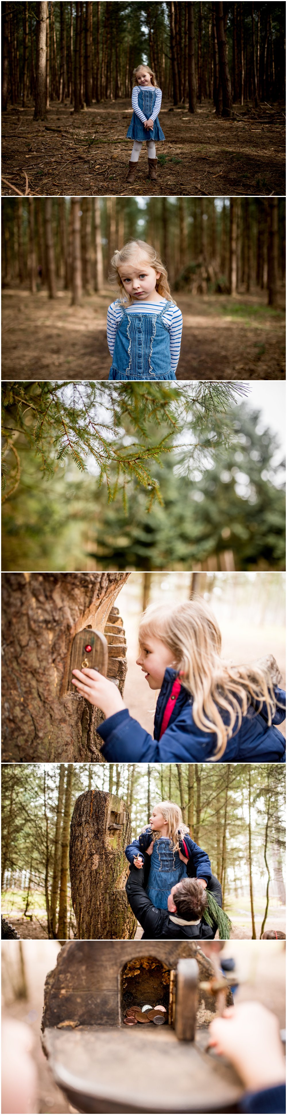 The Stick Man, Stick Man trail, Cannock Chase, Birches Valley, Forestry Commission, days out with kids, walking in the forest, personal post,family life