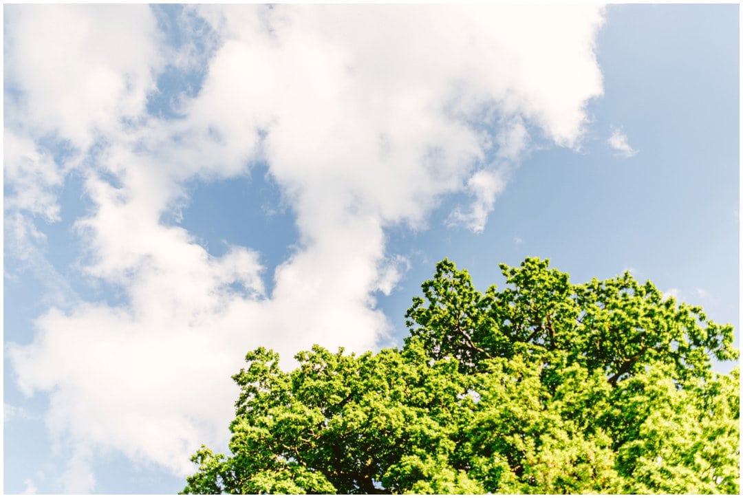 Sarah and Jason's Summertime engagement shoot in Sutton Park, Sutton Coldfield, by West Midlands Wedding Photographer Lisa Carpenter Photography ahead of their summer wedding at Nuthurst Grange