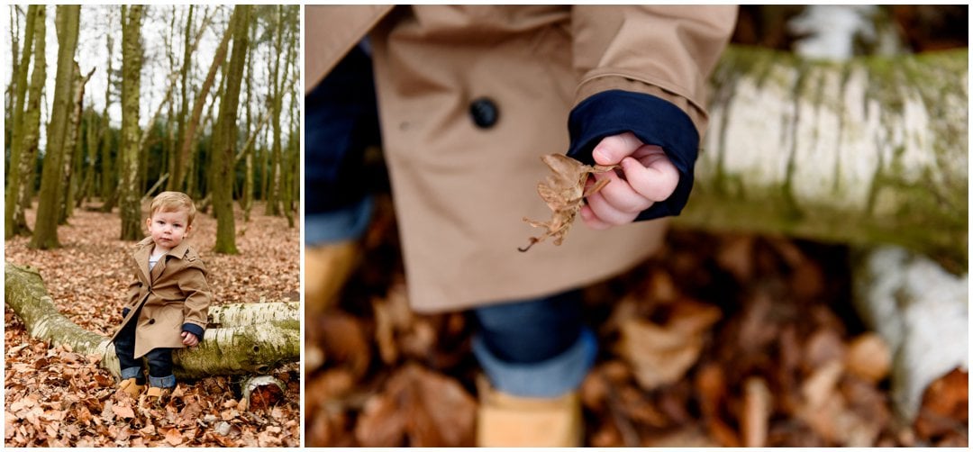 Pre-wedding engagement shoot in Sutton Park by Lisa Carpenter Photography, West Midlands based wedding and family photographer, Sutton Coldfield