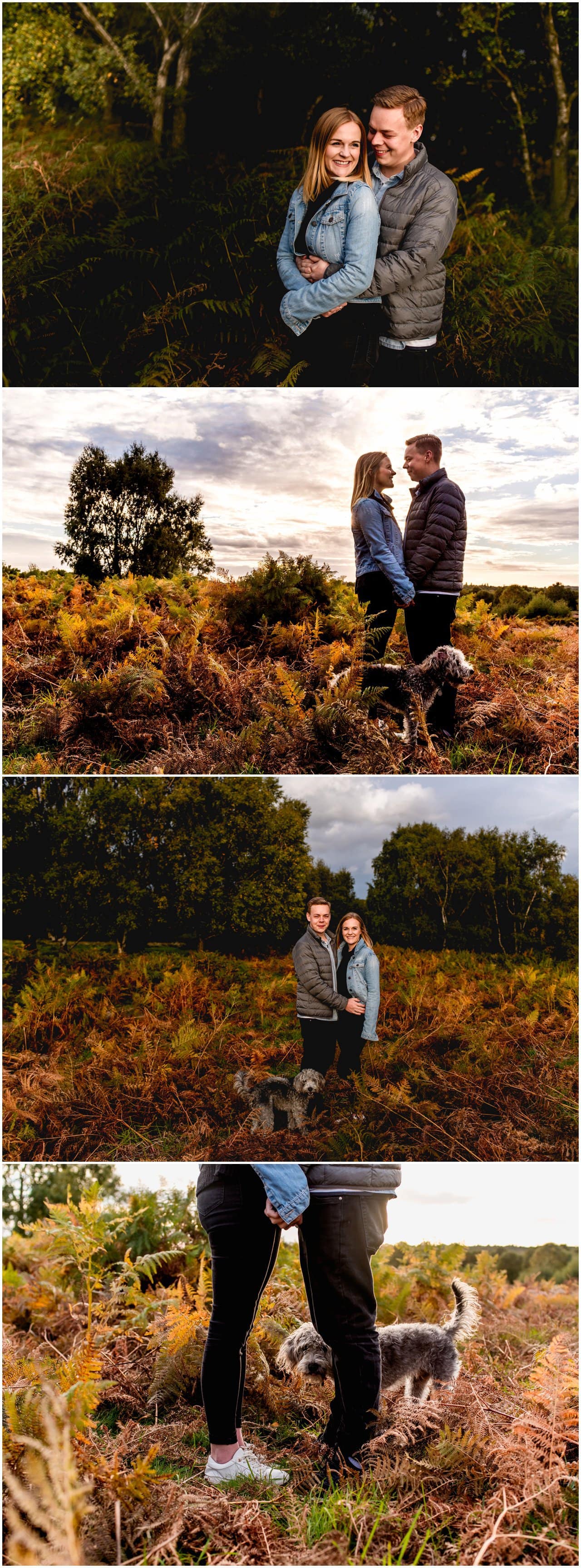 Couples engagement shoot in Sutton Park with dog at golden hour