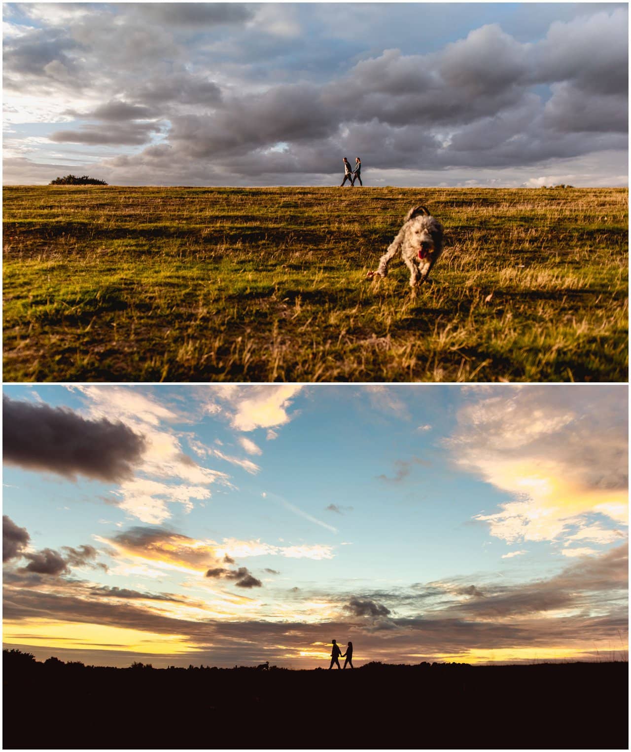Couples engagement shoot in Sutton Park with dog at golden hour