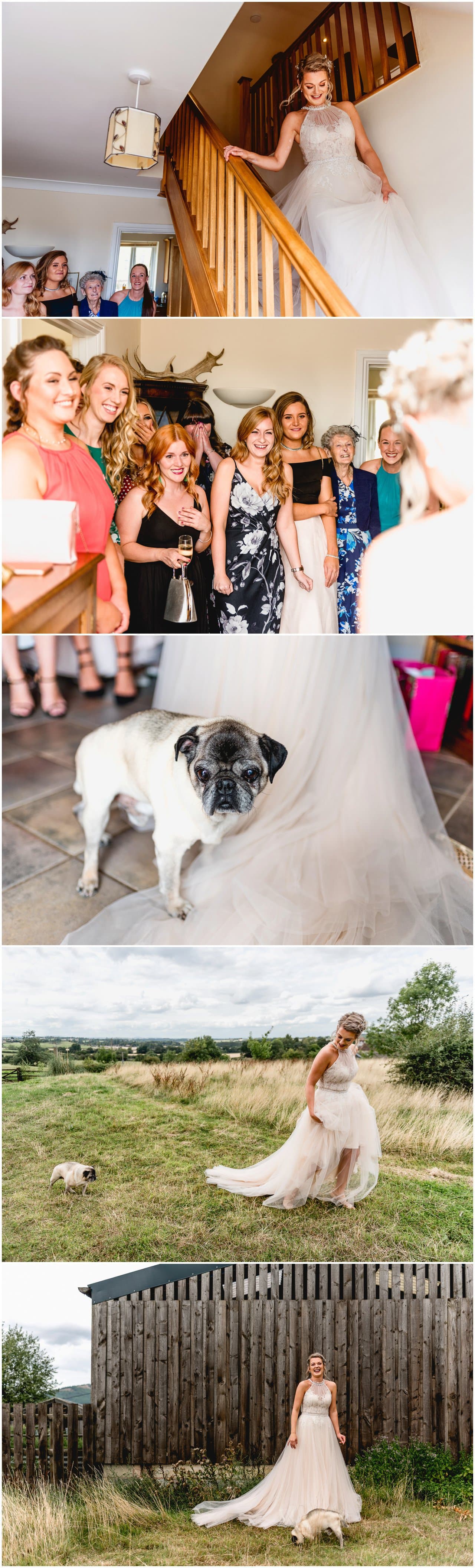 Bride in her wedding dress walking down stairs to her waiting bridesmaids and pug dog sitting on train of her dress.
