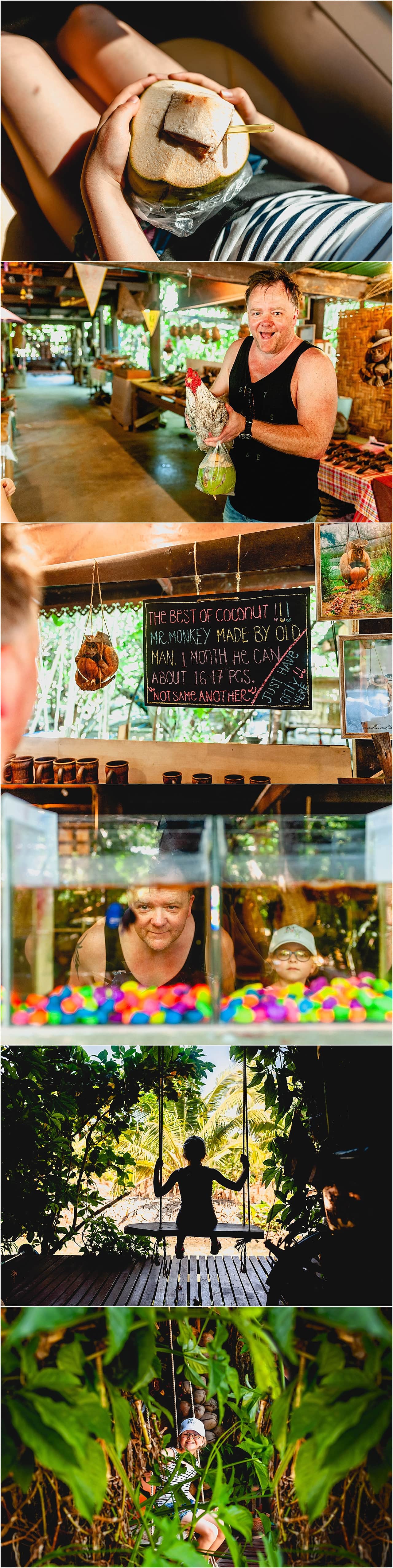coconut house in Bangkok with fighting fish