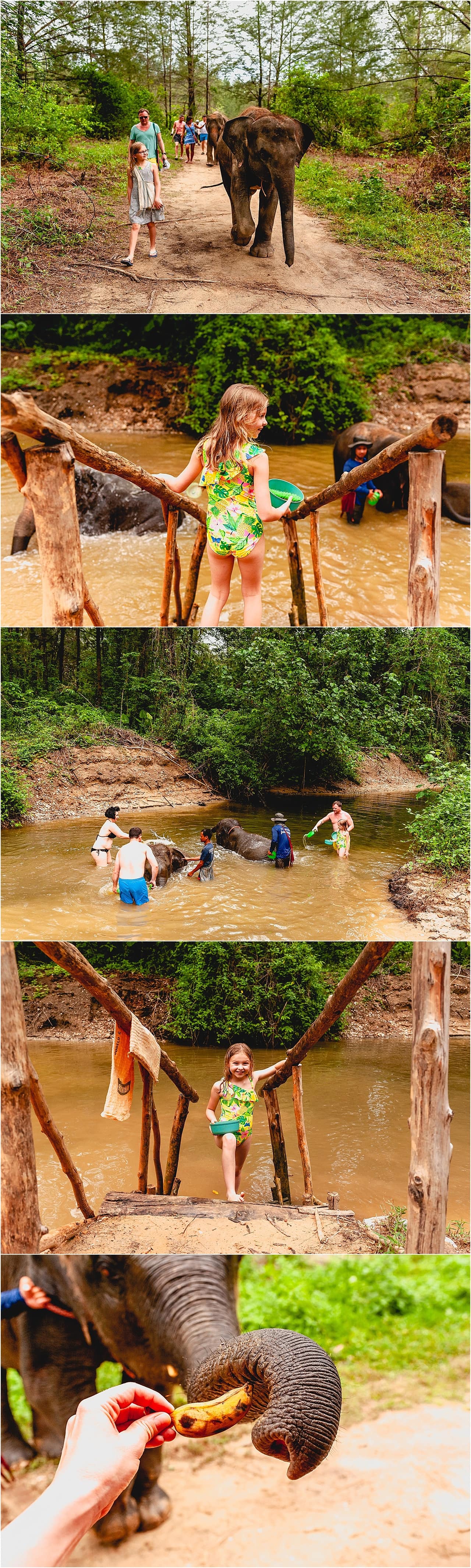 Experienecw tih elephants at Khao Lak Elephant Home with children bathing elephants in the water