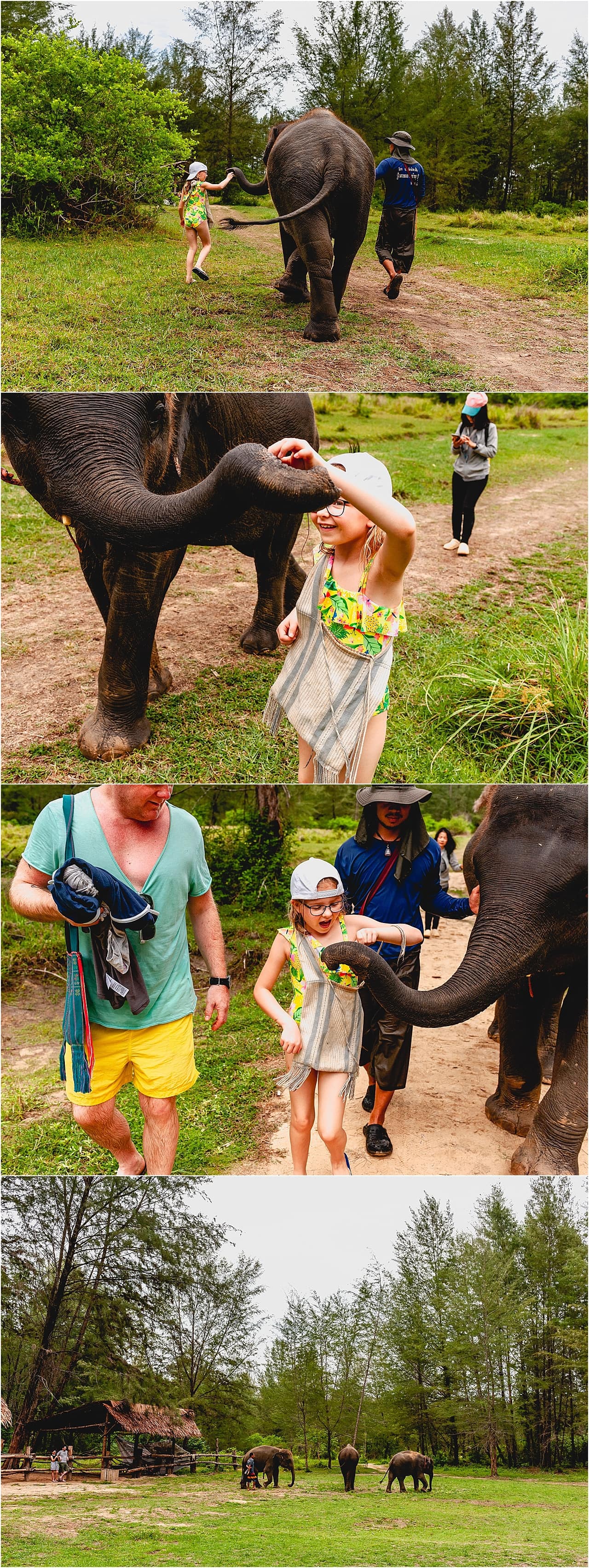 Child feeling bananas to elephants at Khao Lak Elephant Home