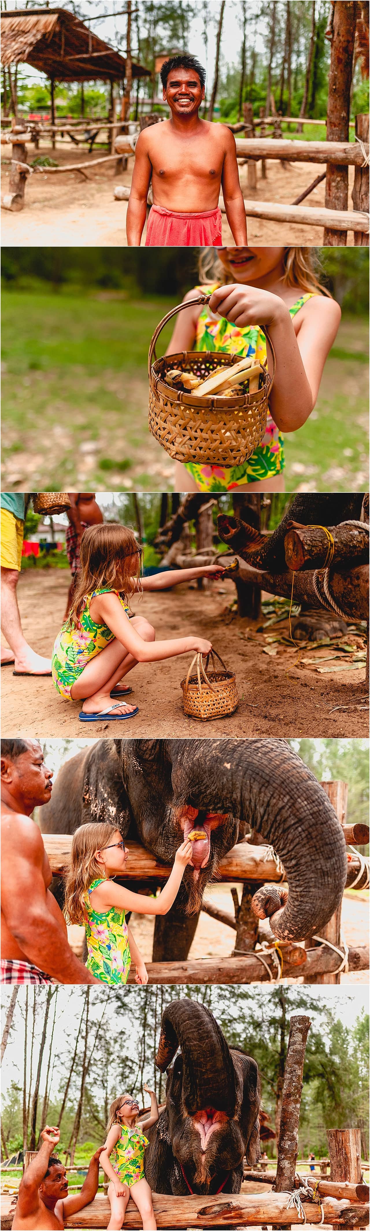 Child feeling bananas to elephants at Khao Lak Elephant Home