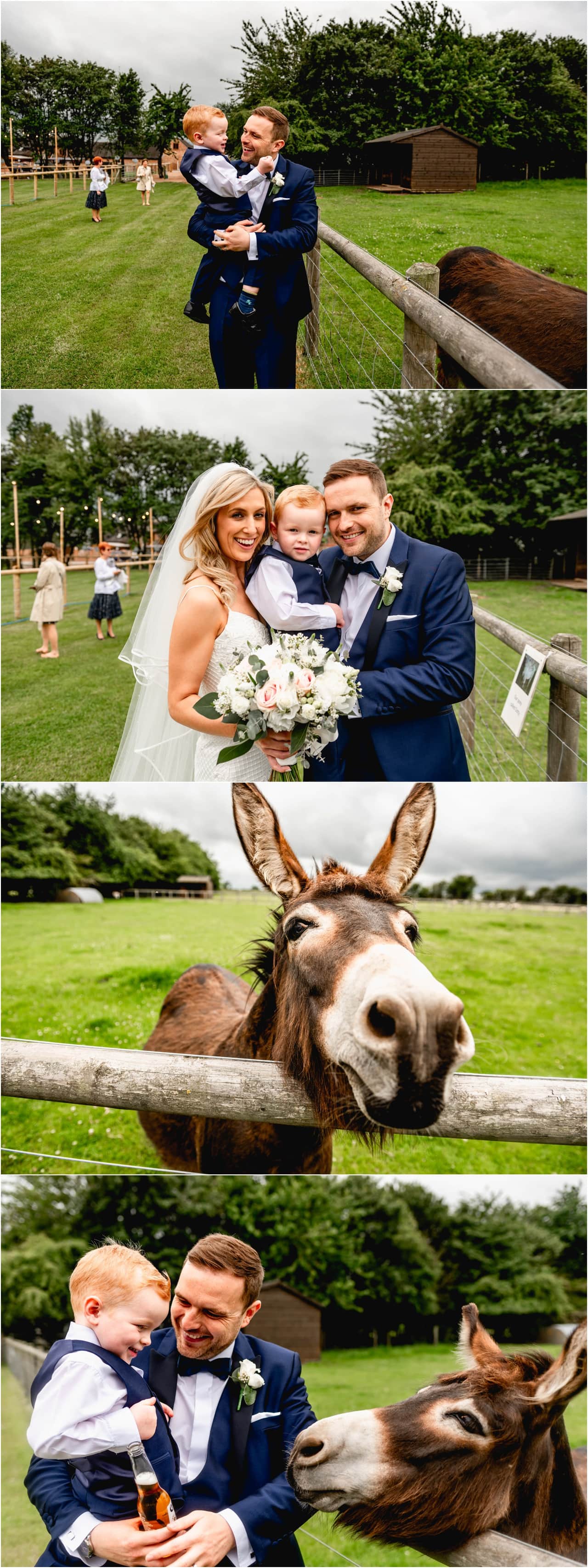 Bride and groom with small child feeding a donkey at their wedding venue in a marquee in the back garden of their family home.