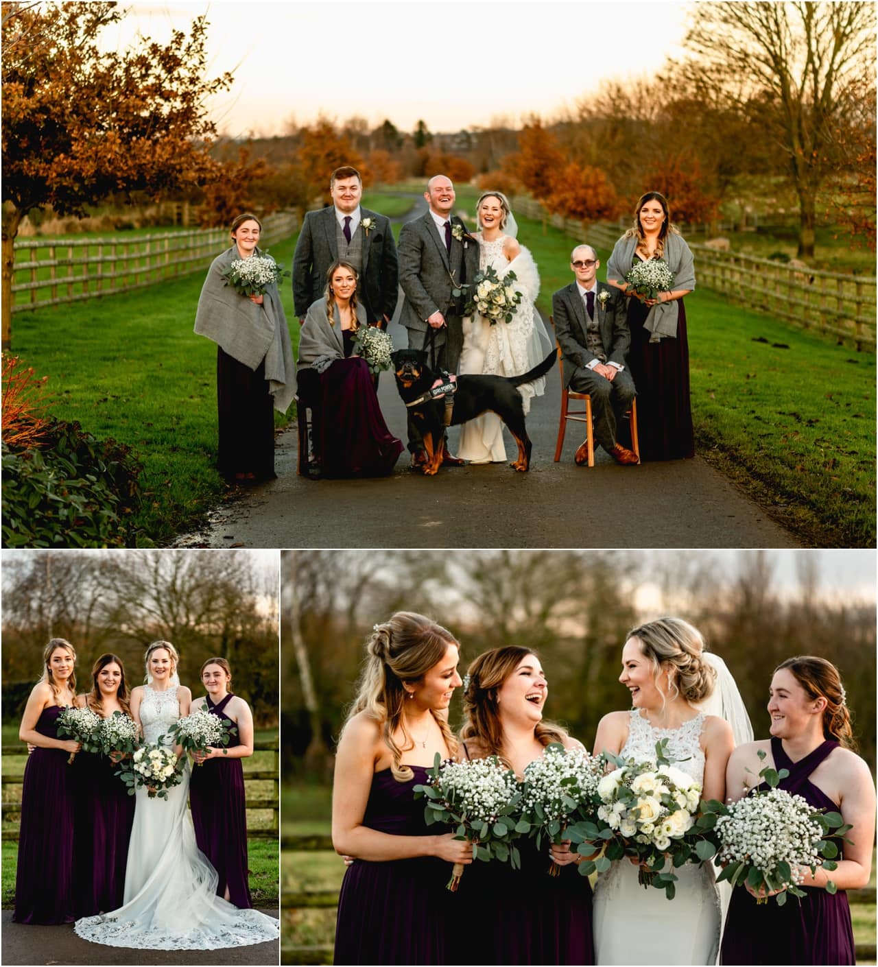 Bridal party photos with bridesmaids, ushers, bride and groom and their dog, a Rottweiler during a winter wedding at Mythe Barn Wedding Venue.