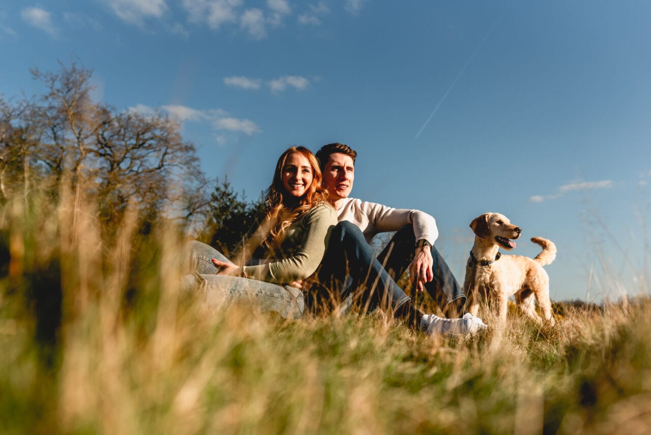Couple sit on a hill with their dog looking off into the distance surrounded by grass