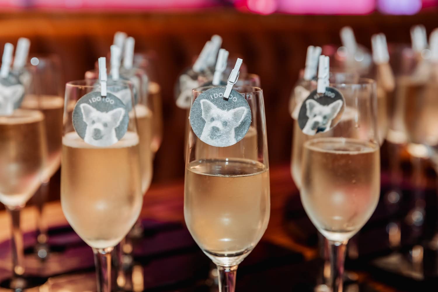 Champagne or prosecco toppers with dogs face